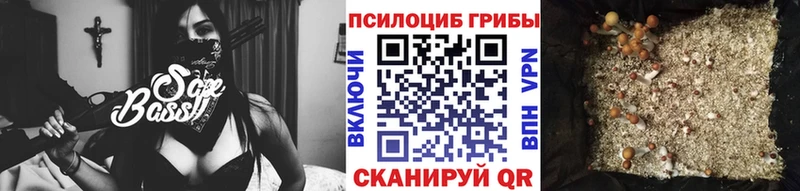 Купить где  Северо-Курильск  Псилоцибиновые грибы Magic Shrooms 
